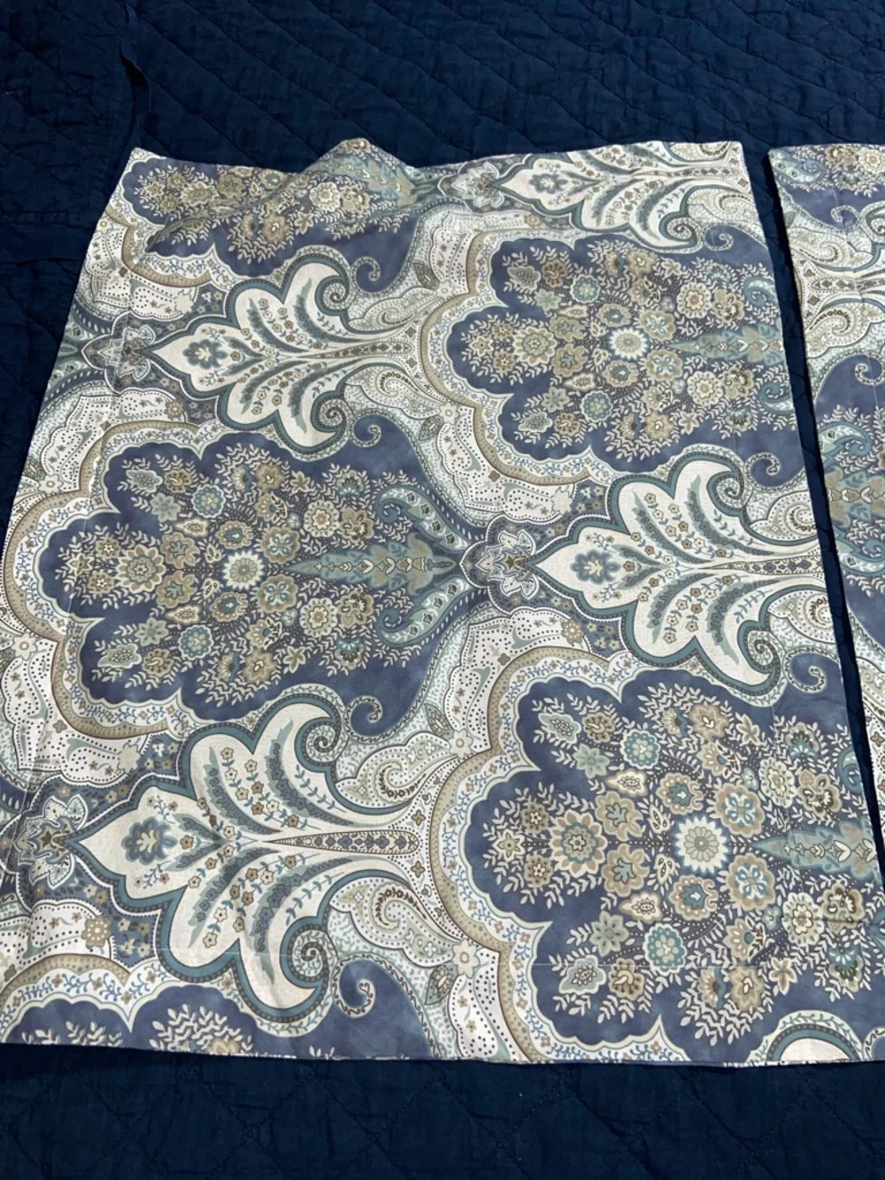 Like new Pottery Barn Jordana Paisley Standard Pillow Shams
